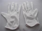 Anti-static Skidproof Dust-free Glove New (1 Pairs)