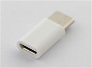 Micro USB to Type-C Charge and Data Adaptor Converter For NS Switch and Mobile Phone - White 02