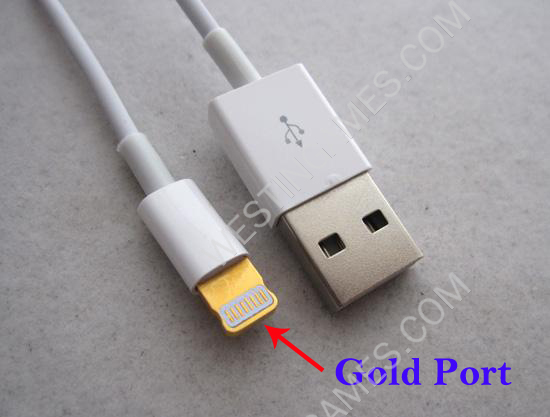 1.3M Lightning to USB Charging & Data Cable Cord 8 Pin for iPad Mini / iPad 4 (Gold Port)