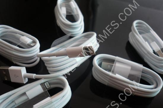 1M Lightning to USB Charging & Data Cable Cord 8 Pin for iPhone 5/5C/5S - White (Silver Port) - Image 2