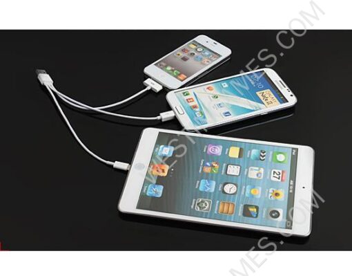 4 in 1 USB Cable Charger Cord for iPhone 5 4S iPad Samsung BlackBerry HTC- White (20cm) - Image 3