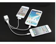 4 in 1 USB Cable Charger Cord for iPhone 5 4S iPad Samsung BlackBerry HTC- White (20cm) 04