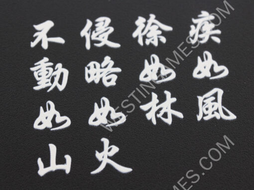 Matt Black Relief Pattern HDD Hard Disc Drive Cover Case for Playstation 4 PS4 - China Style - Image 2