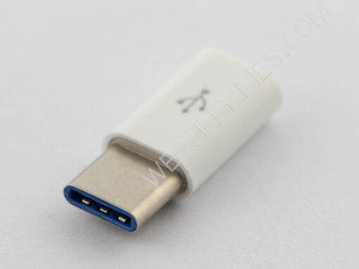 Micro USB to Type-C Charge and Data Adaptor Converter For NS Switch and Mobile Phone - White