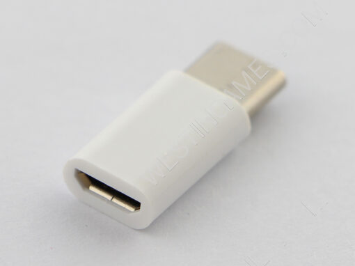 Micro USB to Type-C Charge and Data Adaptor Converter For NS Switch and Mobile Phone - White - Image 2