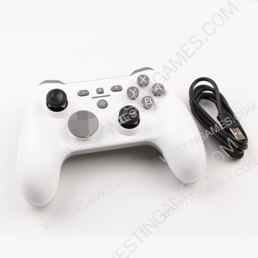 Sunwaytek H510 [V2] Mechanical Pro Controller for Nintendo Switch, PC, Android, Mac/iOS, Linux